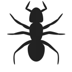 Pest Control Vadodara