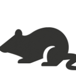 Pest Control Vadodara