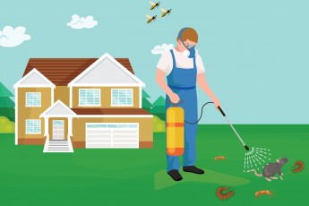 Pest control services Vadodara