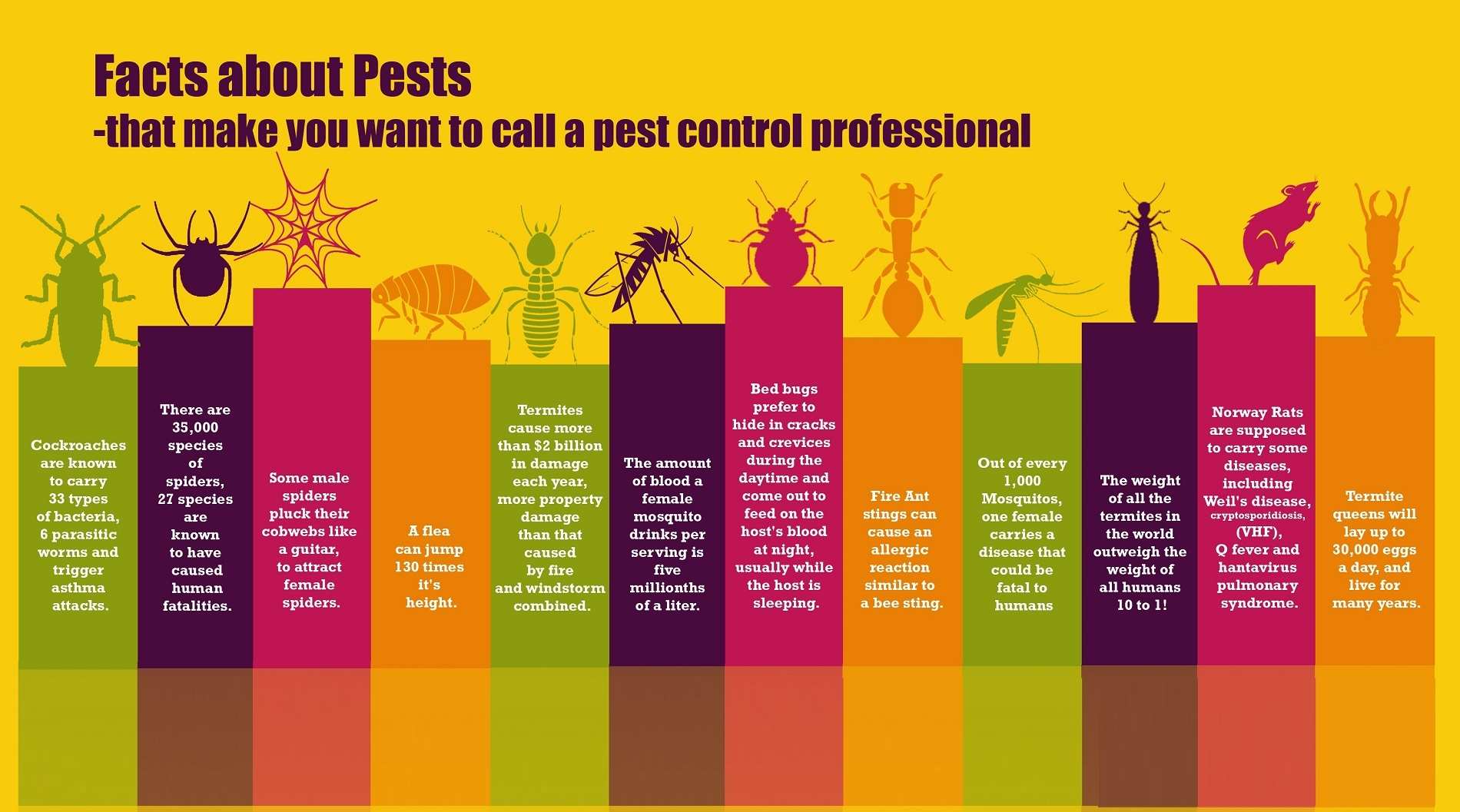 Pest control services Vadodara